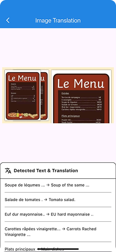 AR Camera Translator screen 3