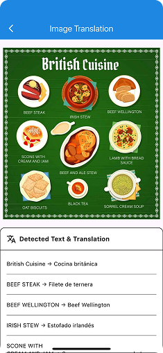 AR Camera Translator screen 5